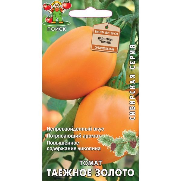 Семена Томат Сибирская серия «Таёжное золото» (А), 1 г