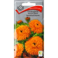 Календула махровая «Оранжевый король»
