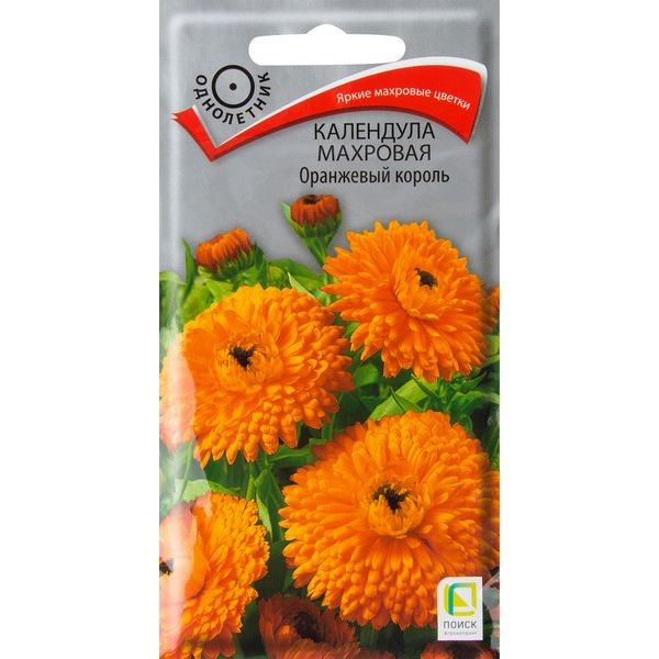 Календула махровая «Оранжевый король»