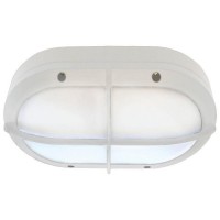 Светильник накладной уличный Ecola Стандарт FW53LSECS 26 Вт IP65