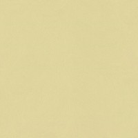 Обои виниловые Homecolor Blomma HC71580-17, 1.06 м