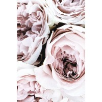 Картина на холсте «Нежные пионы 2» 40x60 см