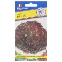 Семена Салат «Бакус»