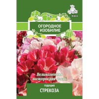 Семена Годеция «Стрекоза»