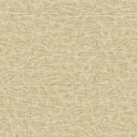 Флизелиновые обои Paper Partnership бежевые WP0091203 0.52 м