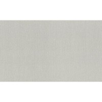 Обои флизелиновые Rasch Barbara XL серые 800548 1.06 м