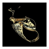 Картина на стекле ArtWork Golden Splash 76х76 см