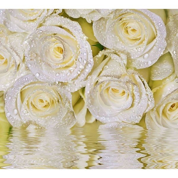 Фотообои DeliceDecor Букет «Нежность» Ф 012 300х270 см