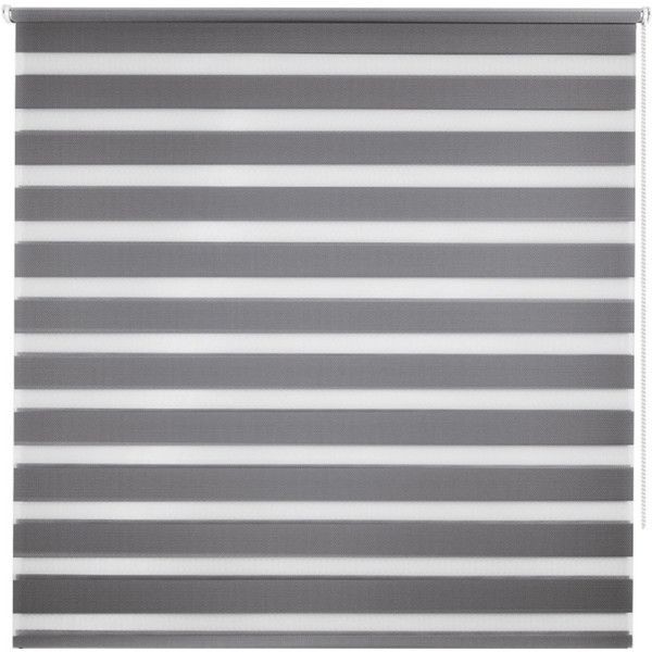 Штора рулонная день-ночь Miamoza Silver 160x175 см, цвет серый