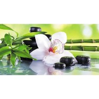 Фотообои Wallberry Decocode 13-0425-FG 250х130 см