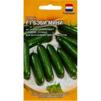 Семена Огурец «Бэби Мини» (Голландия) F1, 5 шт.