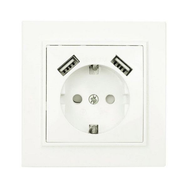 Розетка EKF с 2 USB ERR16-028-100-2USB