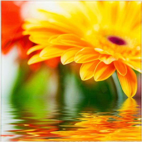 Картина на стекле 30х30 см «Flower» 28702009