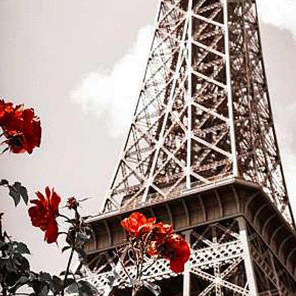 Фотообои Divino Decor Весна в Париже A-085 100х270 см