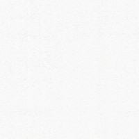Обои флизелиновые Палитра NANO белые PL44045-01a 1.06 м