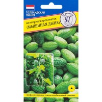 Мелотрия шероховатая