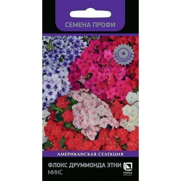 Семена Флокс Друммонда «Этни Микс»