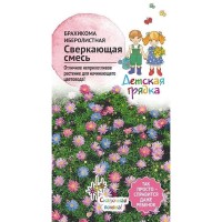 Семена Брахикома «Сверкающая» микс