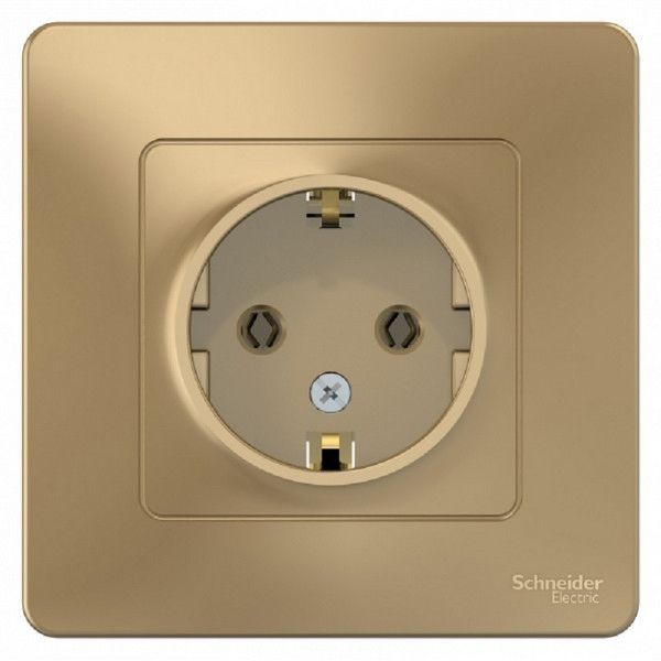 Розетка встраиваемая Schneider Electric Blanca с заземлением, цвет титан