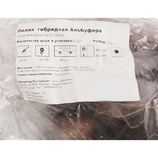 Лилия гибридная Альбуфера луковица 12/14