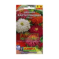 Циния кактусовидная смесь окрасок