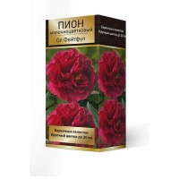 Пион травянистый Ол Фейтфул луковица 2-3