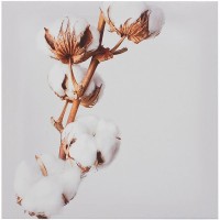 Картина на холсте «Хлопок» 30x30 см