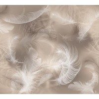 Фотообои DeliceDecor Перья М 009 300х270 см