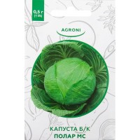 Семена Капуста белокочанная «Полар МС» XS