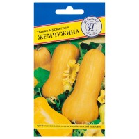Семена Тыква мускатная «Жемчужина»
