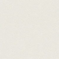 Обои флизелиновые Rasch Miracle бежевые 421903 0.53 м