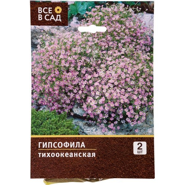 Гипсофила Пацифика I