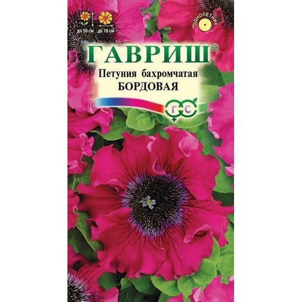 Семена Петуния бахромчатая бордовая