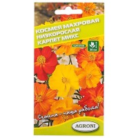 Космея махровая низкорослая