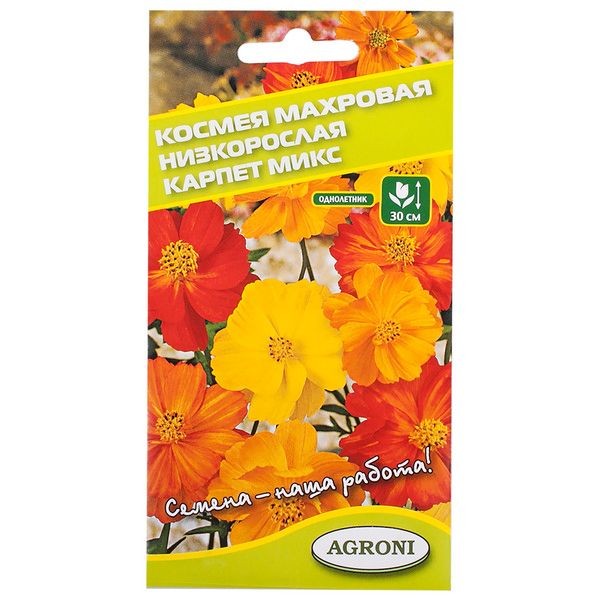Космея махровая низкорослая