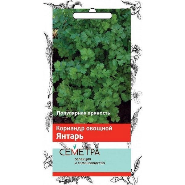 Семена Кориандр «Янтарь»