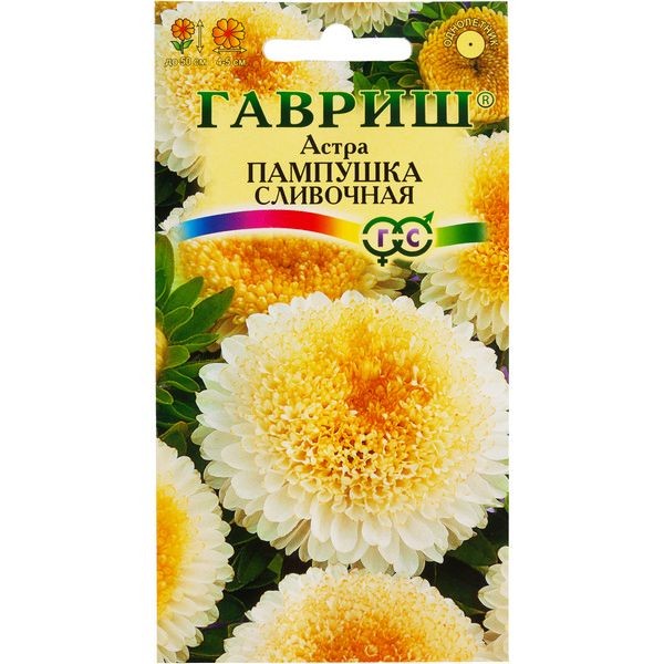 Астра «Пампушка сливочная» помпонная, 0.3 г