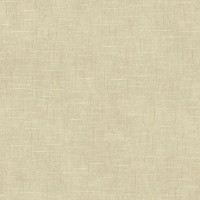 Обои бумажные York Wallcoverings Williamsburg коричневые WM2599 0.68 м