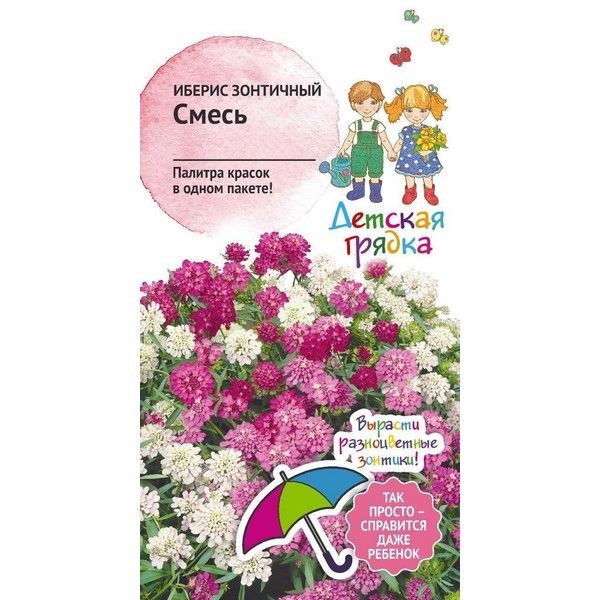 Семена Иберис Зонтичный «Смесь»