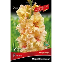 Гладиолус Майя Плисецкая луковица 12