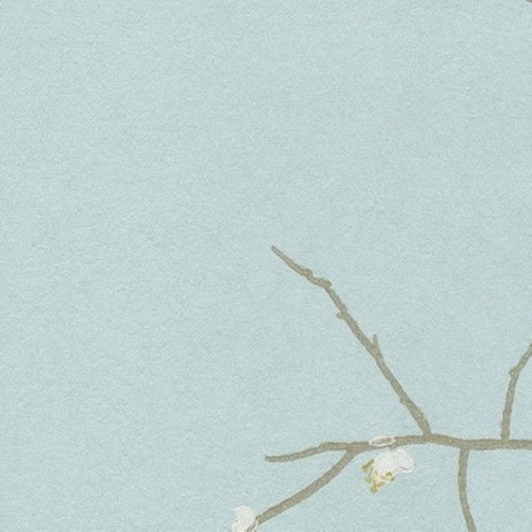Обои флизелиновые York Wallcoverings Special Effects II голубые SE1869 0.68 м