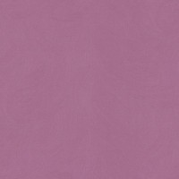 Обои виниловые Homecolor Blomma HC71580-56, 1.06 м