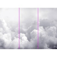 Фотообои WonderWall 229 386х280см