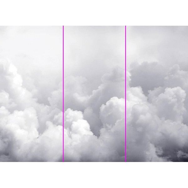 Фотообои WonderWall 229 386х280см