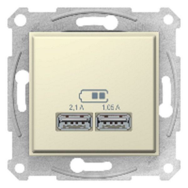 Розетка USB Schneider Electric SEDNA SDN2710247