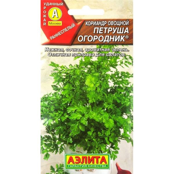 Семена Кориандр овощной «Петруша Огородник»