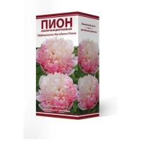 Пион оффициналис Мутабилис Плена луковица 2-3
