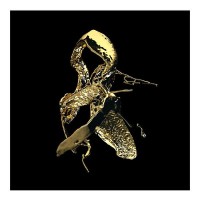 Картина на стекле ArtWork Golden Spill 76х76 см
