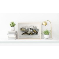 Постер Просто Постер Морские котики 40х50 см
