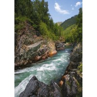 Фотообои Твоя планета Премиум Девичьи плесы 136х194 см